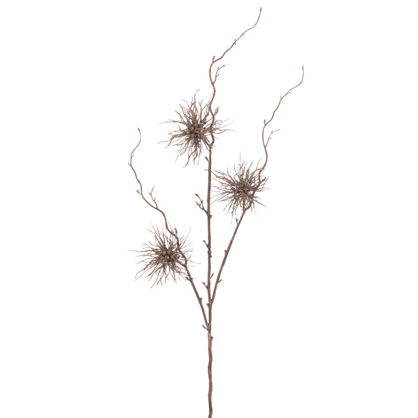 Branche-Oursin-3-Fleurs-Brun-1