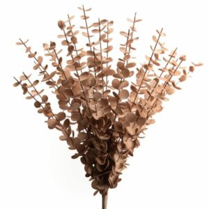 Fleur d'interieur lou de castellane-9